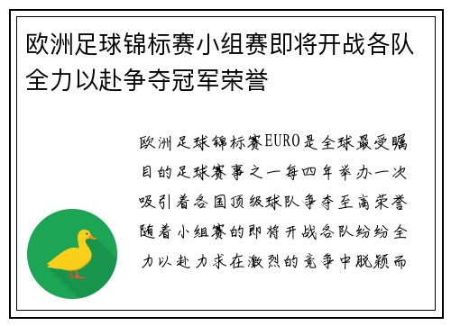 欧洲足球锦标赛小组赛即将开战各队全力以赴争夺冠军荣誉